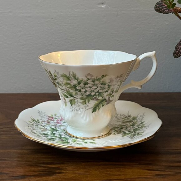 Royal Albert Friendship Hawthorn Cup & Saucer Bone China England - Picture 1 of 16